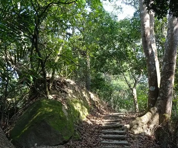 台中登山步道 台中登山步道