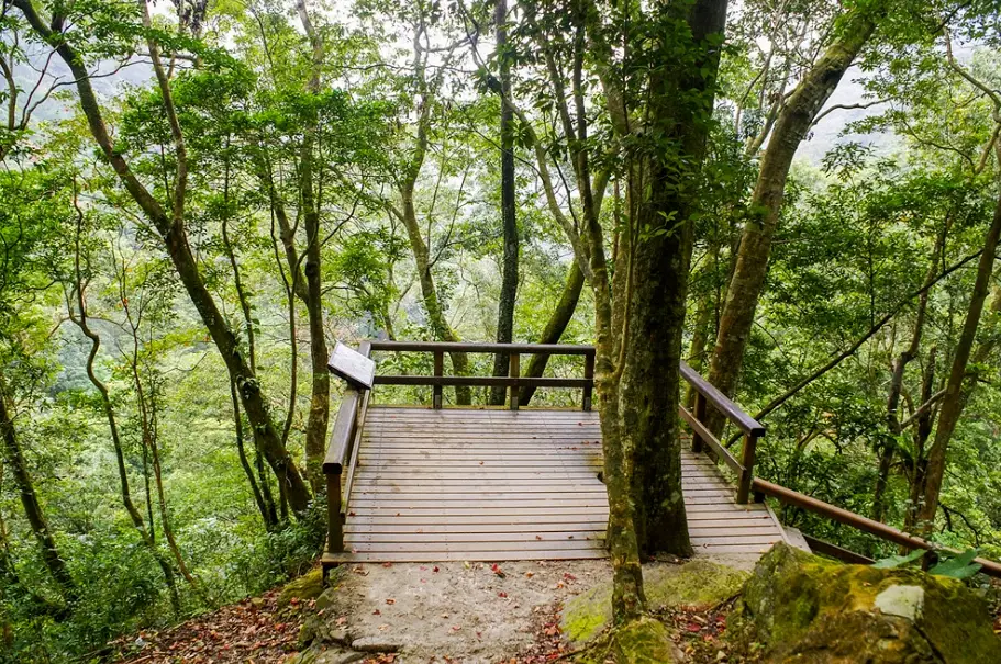 新北登山步道 新北登山步道