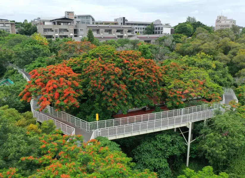 八卦山登山步道 八卦山登山步道