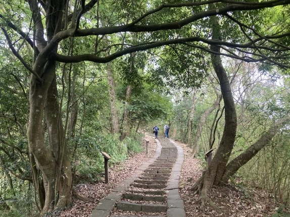 飛鳳山步道 飛鳳山步道
