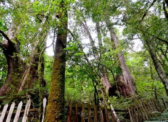 十八尖山步道 十八尖山步道