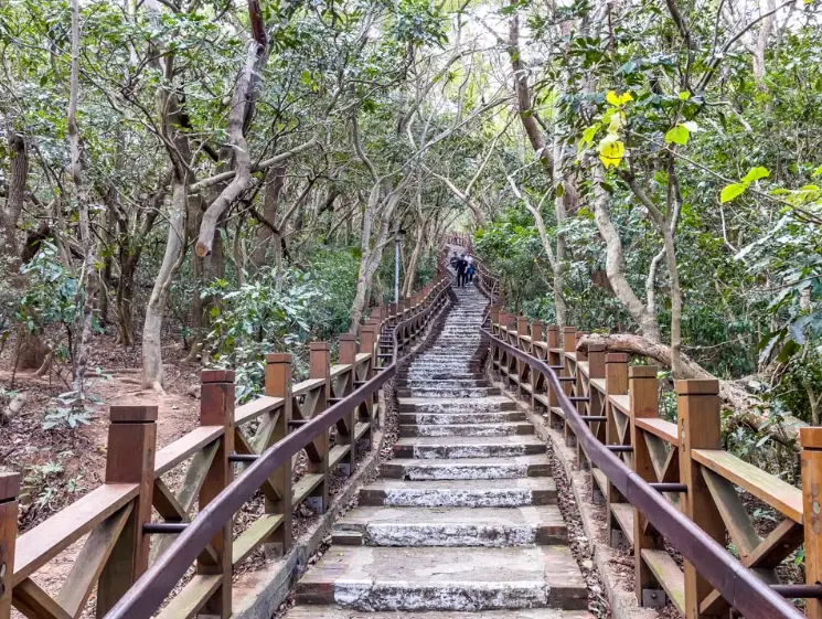 飛鳳山步道 飛鳳山步道
