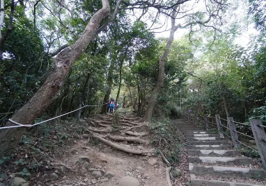 十八尖山步道 十八尖山步道