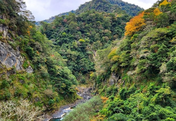 飛鳳山步道 飛鳳山步道