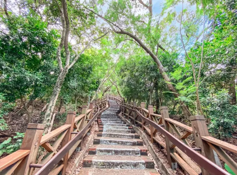 新竹登山步道推薦