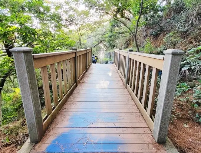 秘境步道 秘境步道