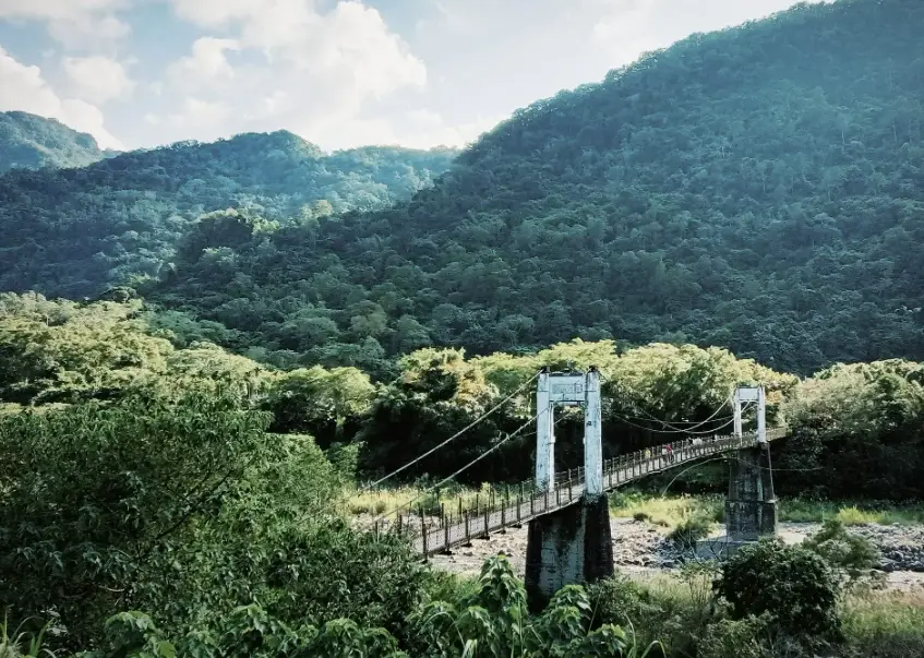 新竹森林步道推薦 新竹森林步道推薦
