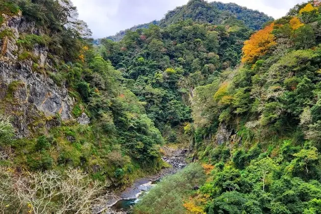 新竹步道交通