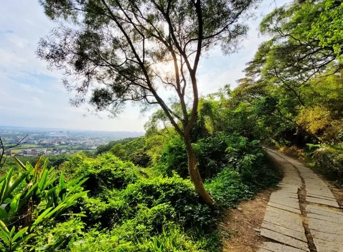 新竹登山 新竹登山