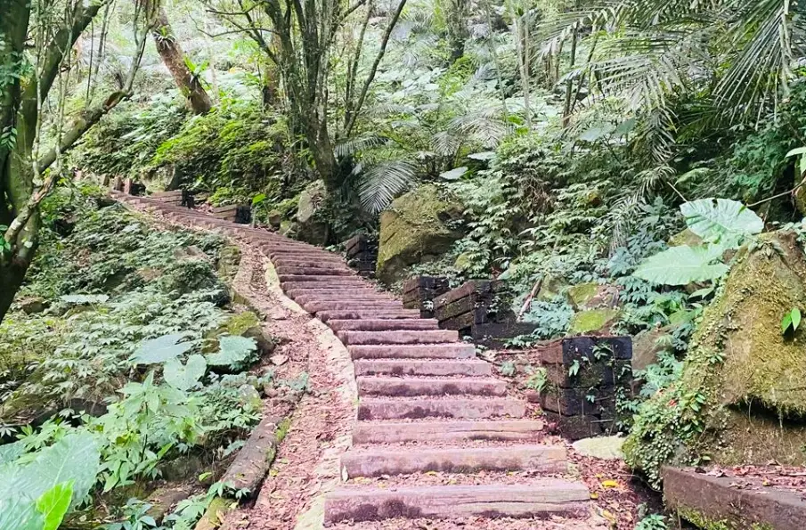 新竹森林步道推薦 新竹森林步道推薦
