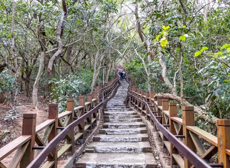 新竹步道 新竹步道