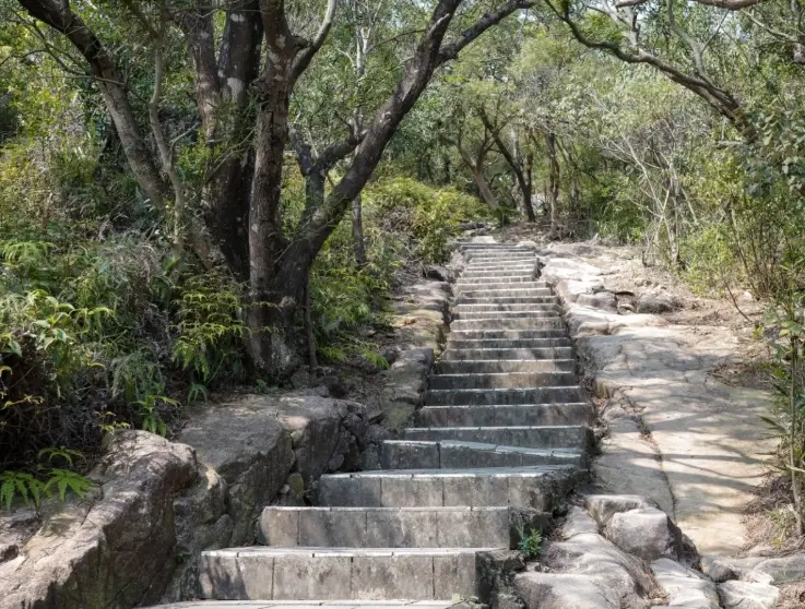 台北新手爬山 台北新手爬山