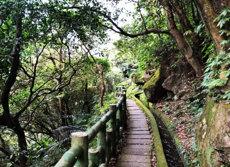 新北新手爬山路線 新北新手爬山路線