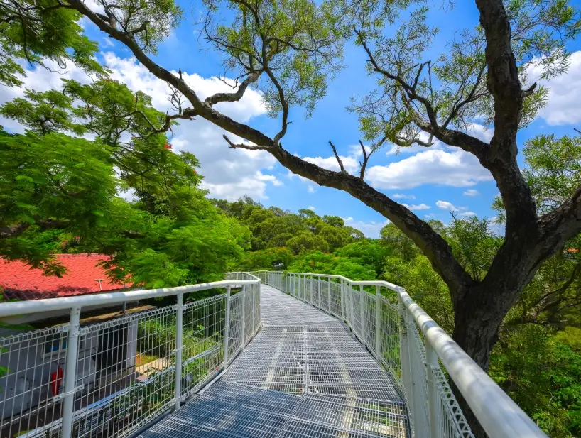 彰化八卦山步道 彰化八卦山步道