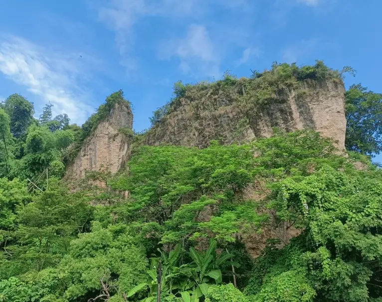 雞冠山登山步道 雞冠山登山步道