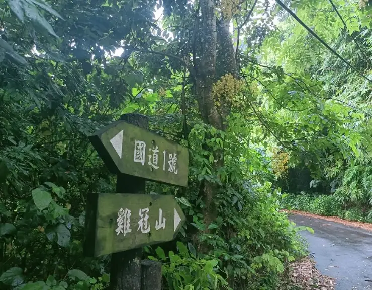 雞冠山登山步道 雞冠山登山步道