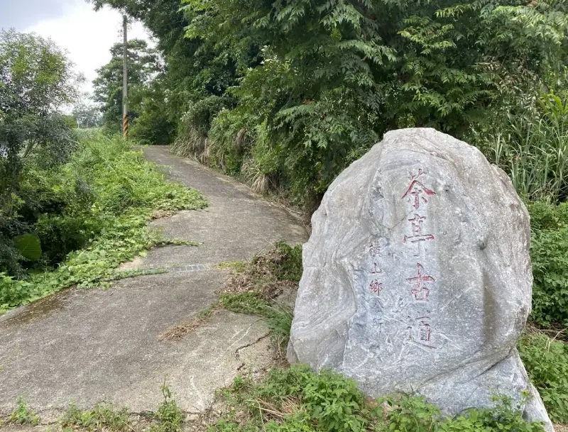 新竹爬山步道推薦