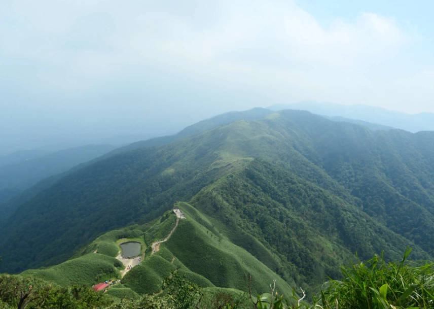 抹茶山狀況