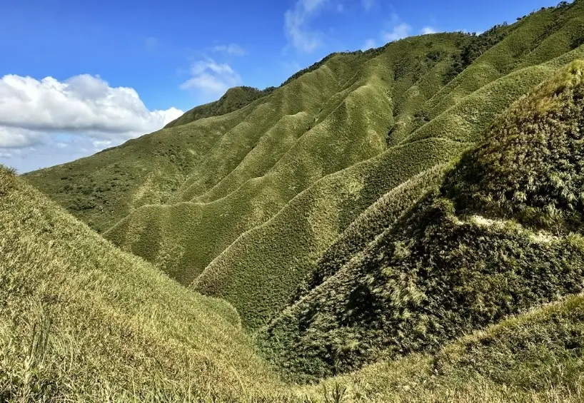 抹茶山 抹茶山