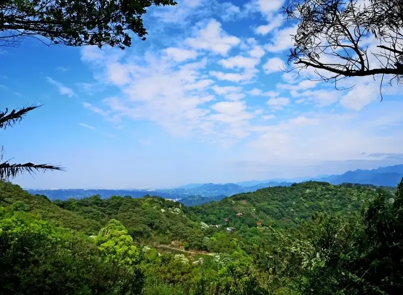 新竹爬山步道推薦 新竹爬山步道推薦