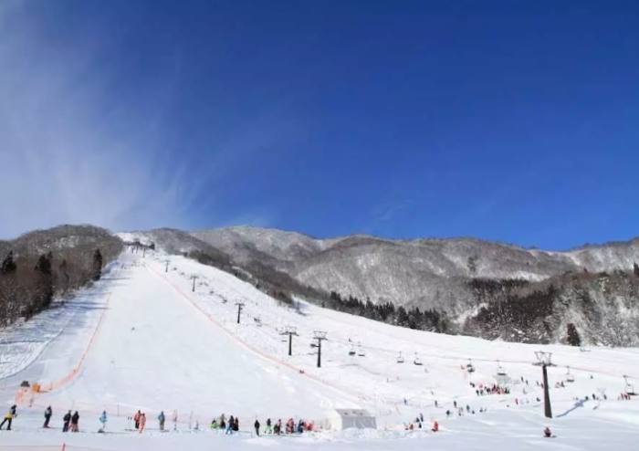 白馬五龍滑雪場 白馬五龍滑雪場