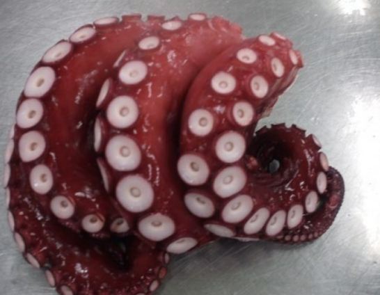 道頓崛美食 道頓崛美食