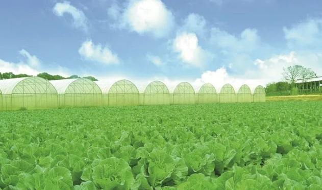 高雄親子農場 高雄親子農場