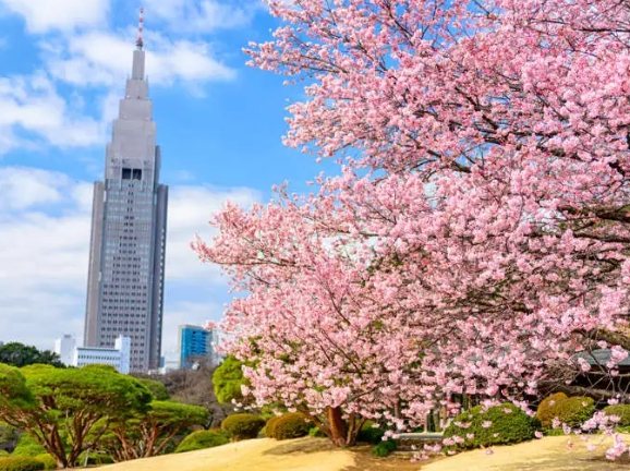 日本東京旅遊 日本東京旅遊
