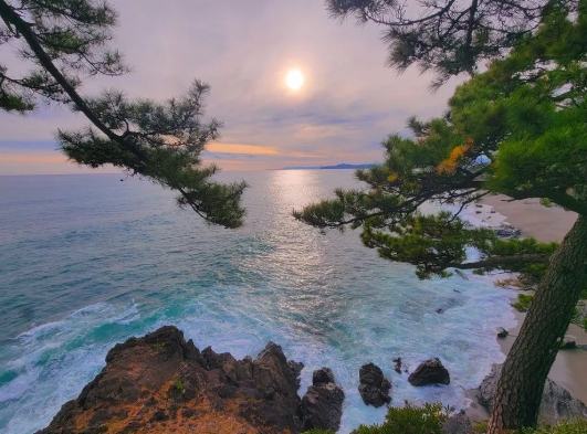 四國自駕遊 四國自駕遊