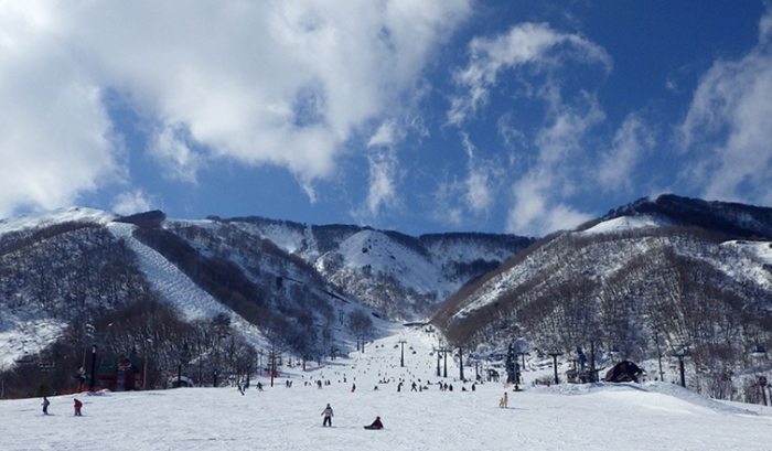 白馬五龍滑雪場 白馬五龍滑雪場