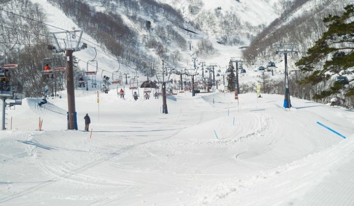 白馬五龍滑雪場 白馬五龍滑雪場