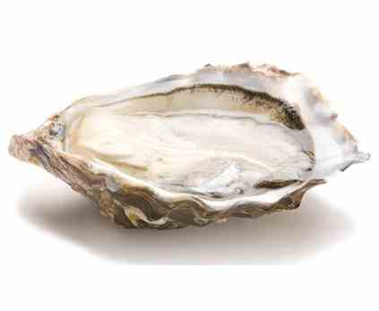 生蚵吃到飽 生蚵吃到飽