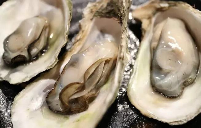 生蚵吃到飽 生蚵吃到飽