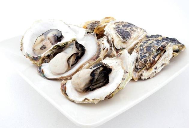 生蚵吃到飽 生蚵吃到飽