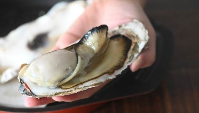 生蚵吃到飽 生蚵吃到飽