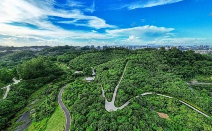 水流東桐花步道