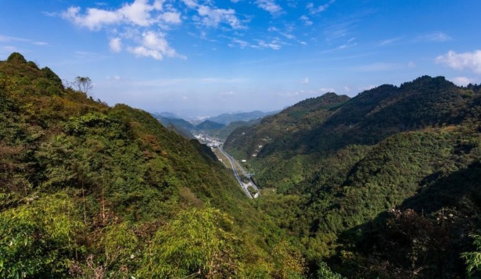 水流東桐花步道