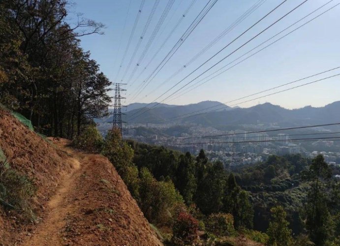 水流東桐花步道
