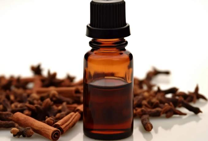 丁香精油功效 丁香精油功效