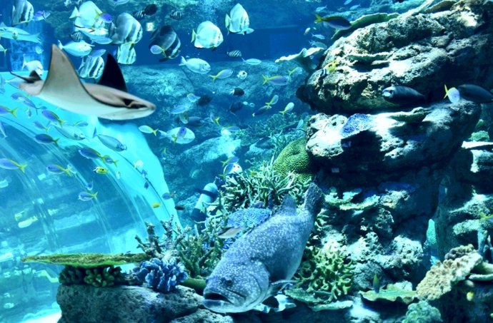 名古屋港水族館 名古屋港水族館