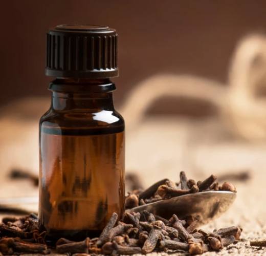 丁香精油功效 丁香精油功效