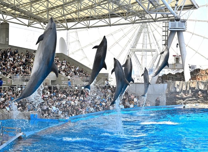 名古屋港水族館 名古屋港水族館