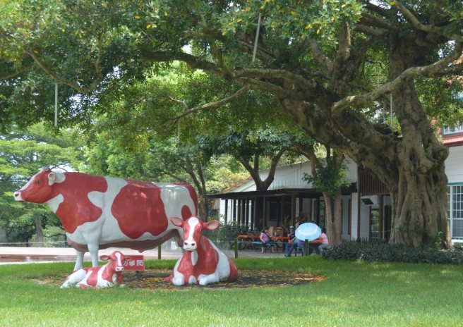 飛牛牧場 飛牛牧場