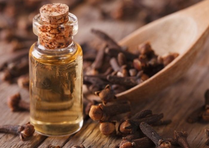 丁香精油功效 丁香精油功效