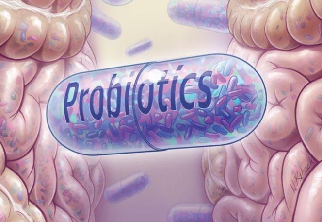 便祕改善方法 便祕改善方法