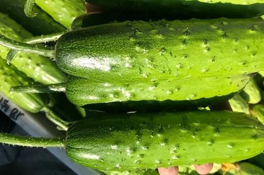 便秘吃什麼蔬菜