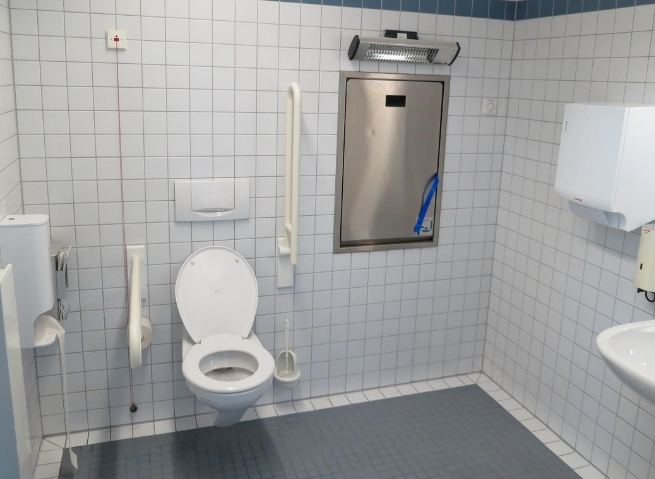 腸道健康改善 腸道健康改善