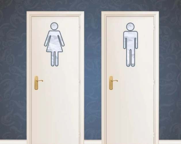 腸道健康改善 腸道健康改善