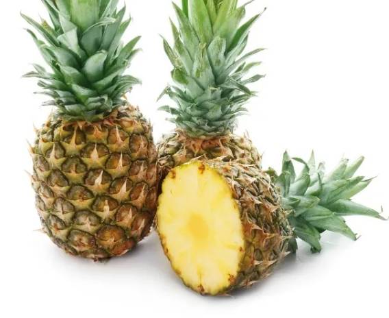 鳳梨酵素益生菌推薦 鳳梨酵素益生菌推薦