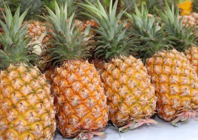 鳳梨酵素益生菌功效 鳳梨酵素益生菌功效